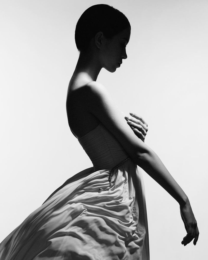 Poster - Dress Profile 40x50 - Dear Sam