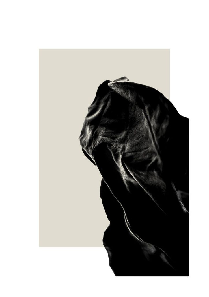 Poster - Dried Black Leaf One 21x30 - Dear Sam