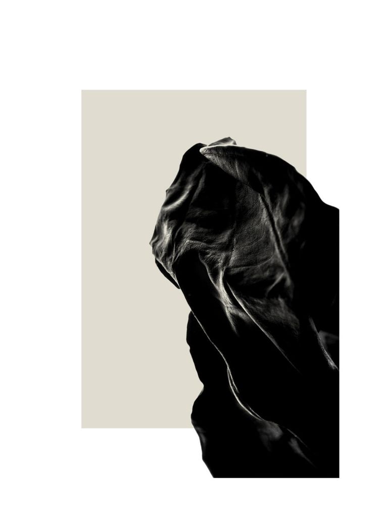 Poster - Dried Black Leaf One 30x40 - Dear Sam