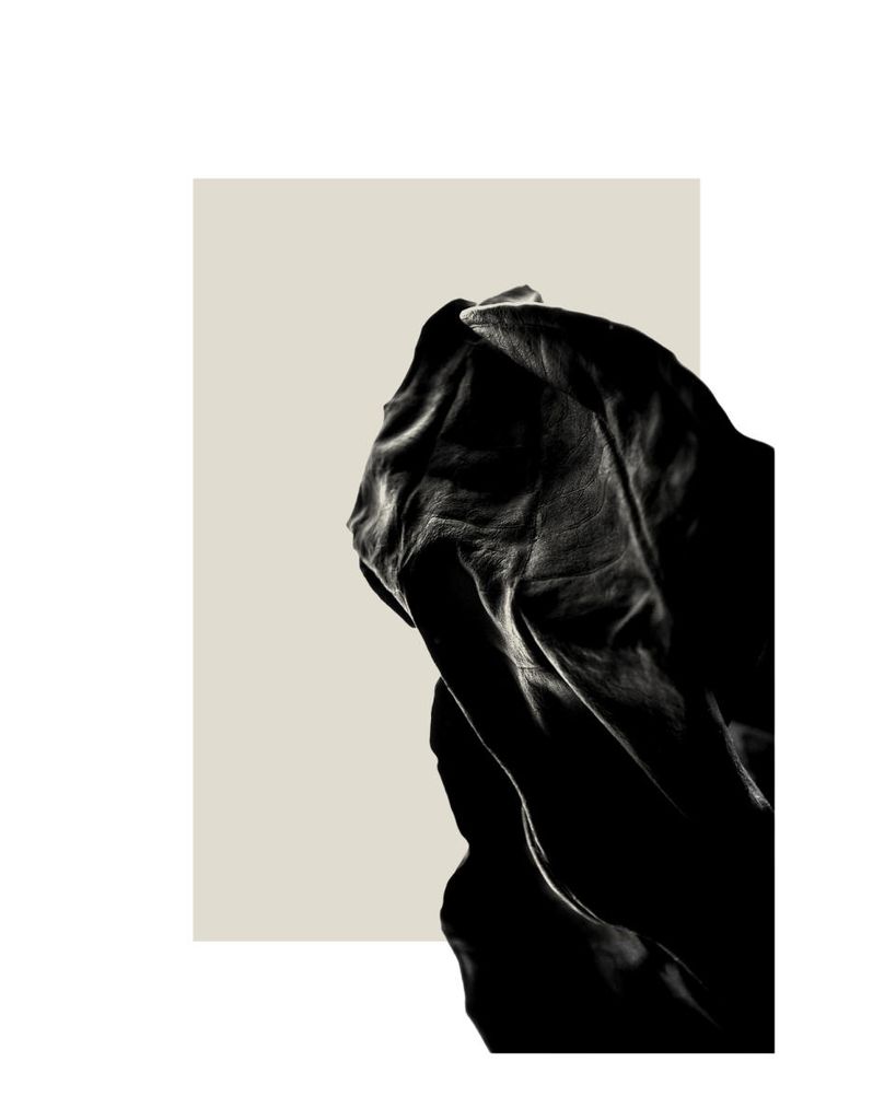 Poster - Dried Black Leaf One 40x50 - Dear Sam