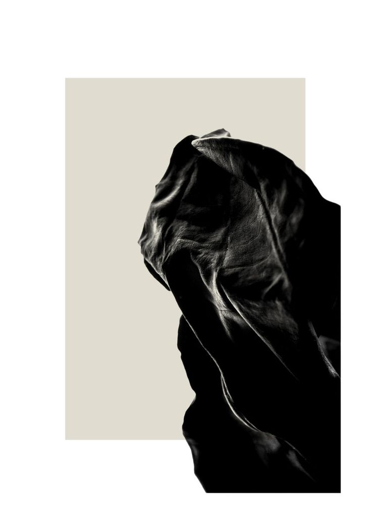 Poster - Dried Black Leaf One 50x70 - Dear Sam