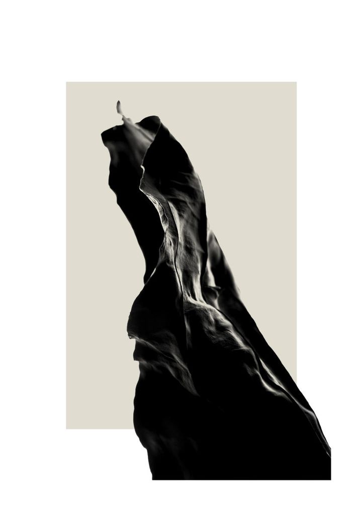 Poster - Dried Black Leaf Two 21x30 - Dear Sam