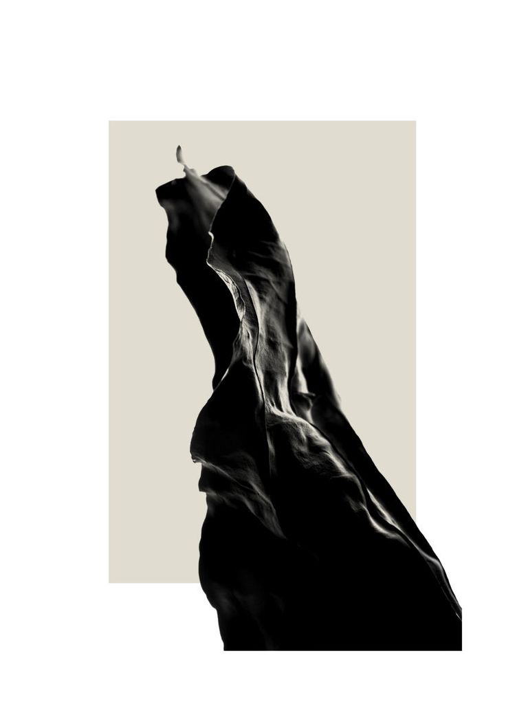 Poster - Dried Black Leaf Two 30x40 - Dear Sam