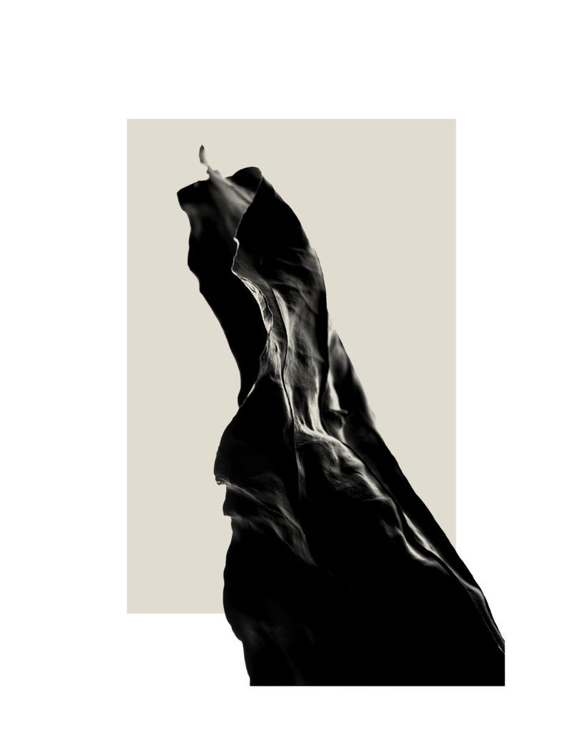 Poster - Dried Black Leaf Two 40x50 - Dear Sam