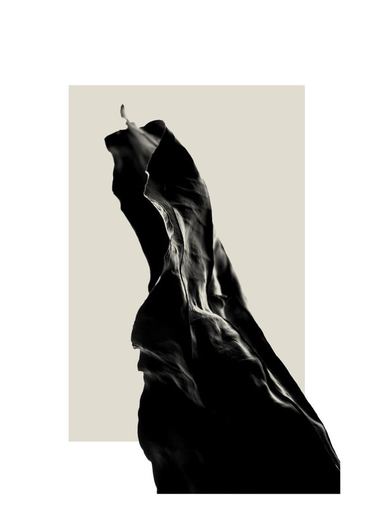 Poster - Dried Black Leaf Two 50x70 - Dear Sam