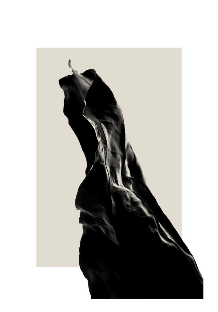Poster - Dried Black Leaf Two 70x100 - Dear Sam