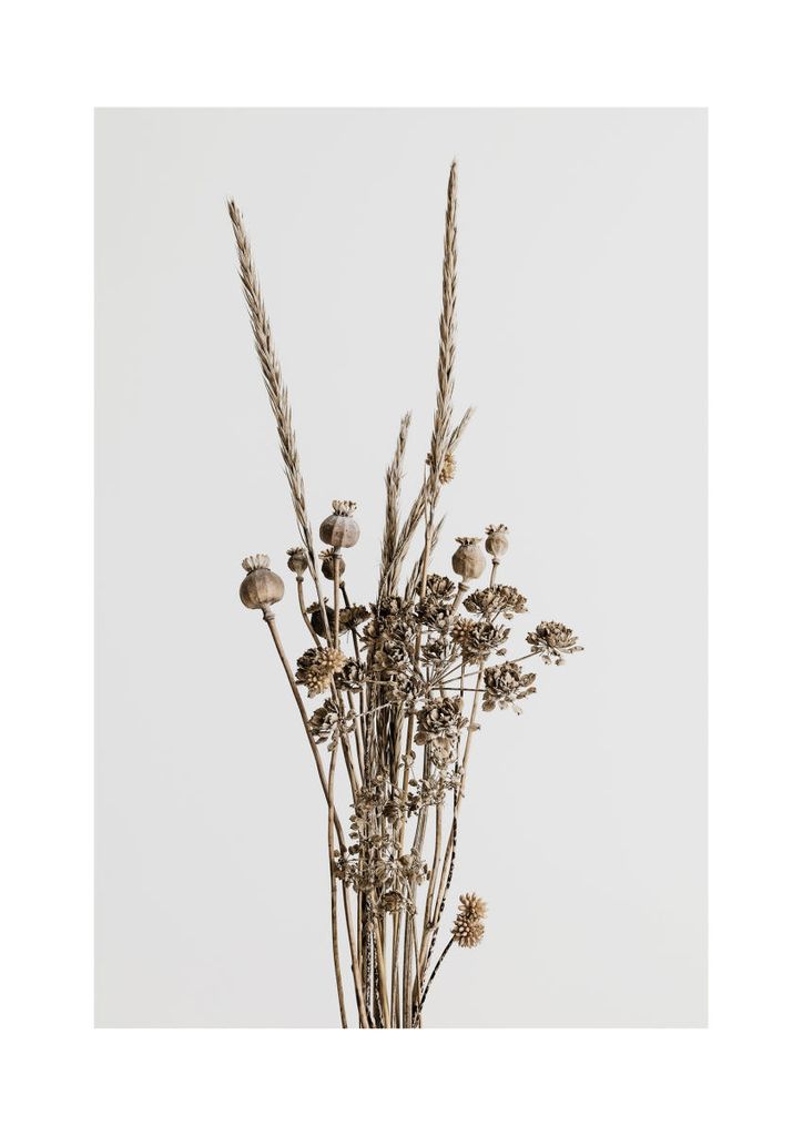 Poster - Dried Flower Bouquet 21x30 - Dear Sam