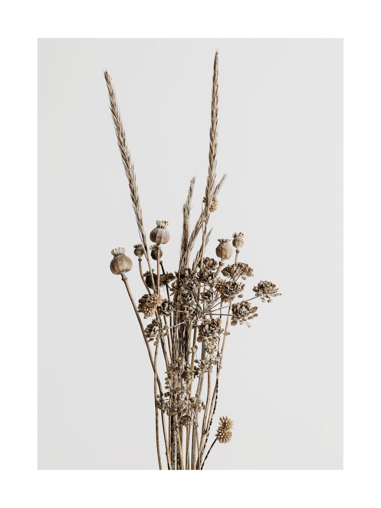Poster - Dried Flower Bouquet 30x40 - Dear Sam