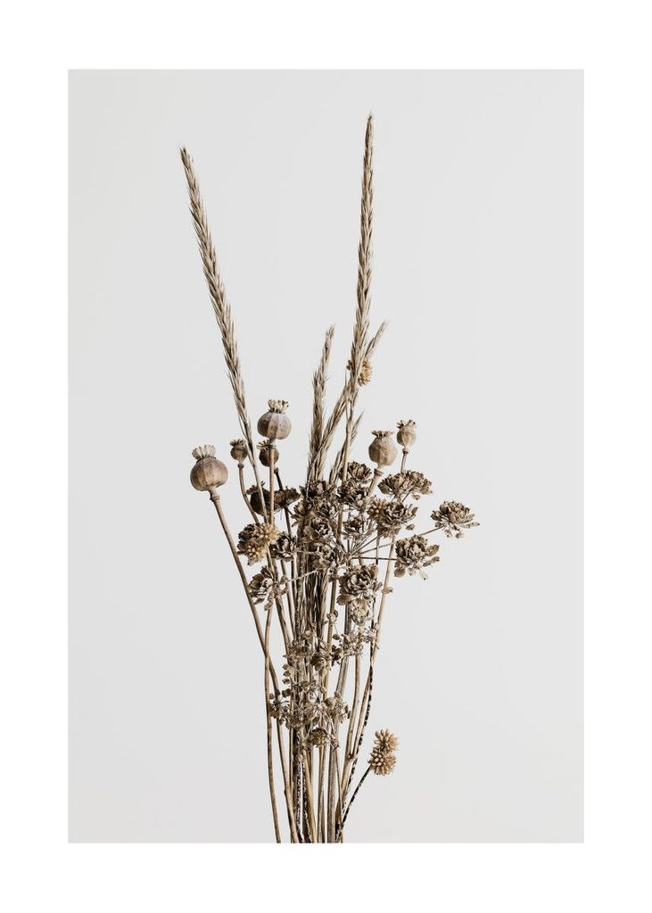 Poster - Dried Flower Bouquet 50x70 - Dear Sam