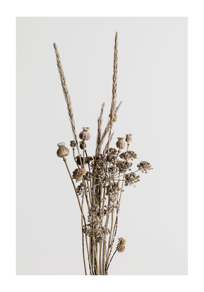 Poster - Dried Flower Bouquet 70x100 - Dear Sam