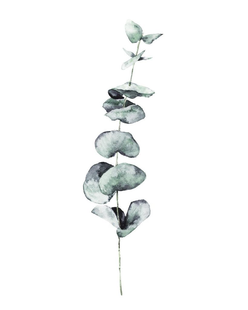 Plakat - Eucalyptus In Watercolor 40x50 - Dear Sam