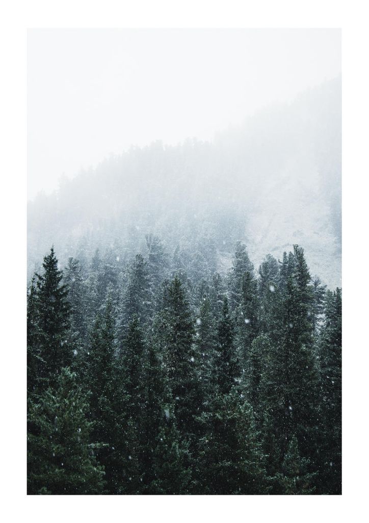 Plakat - First Snow 21x30 - Dear Sam
