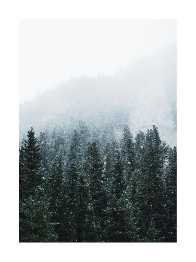 Plakat - First Snow 30x40 - Dear Sam