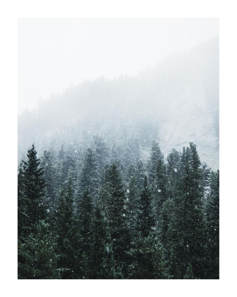 Plakat - First Snow 40x50 - Dear Sam