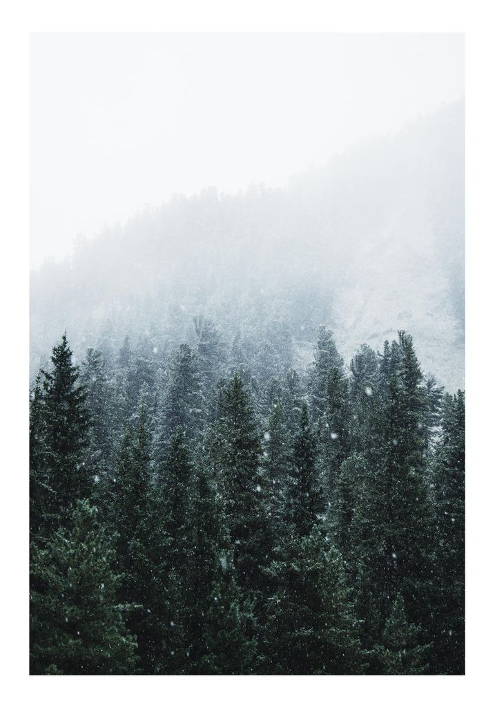 Plakat - First Snow 70x100 - Dear Sam