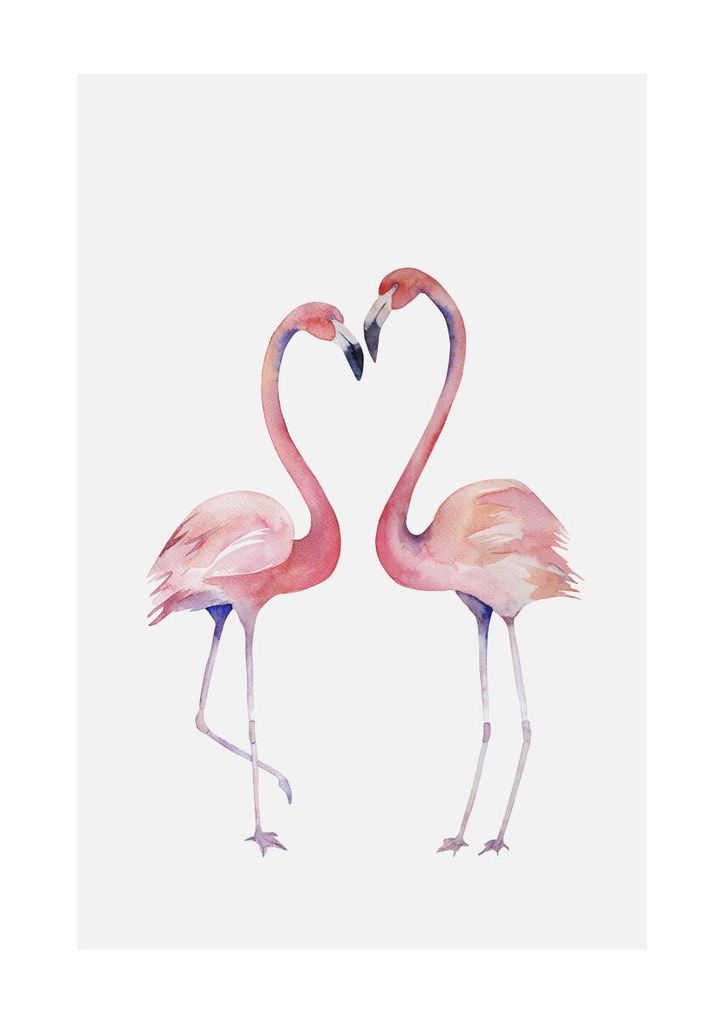 Poster - Flamingo Couple 2 21x30 - Dear Sam