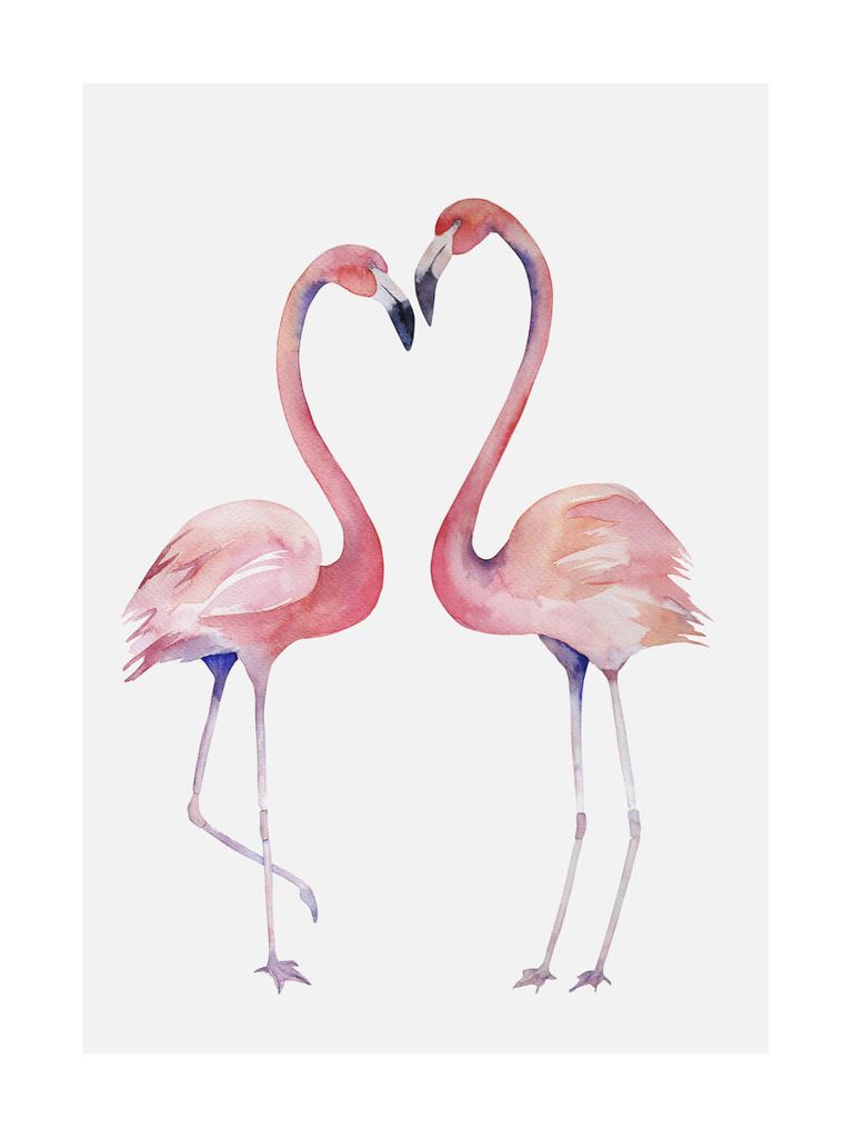 Poster - Flamingo Couple 2 30x40 - Dear Sam