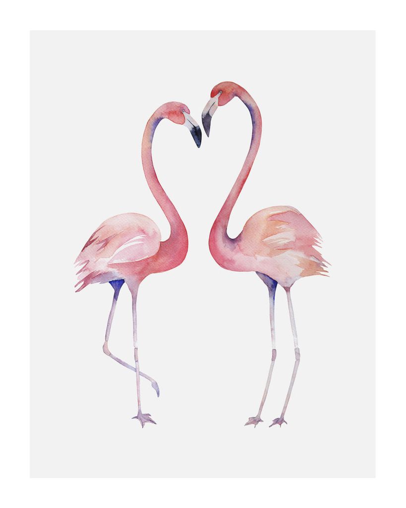 Poster - Flamingo Couple 2 40x50 - Dear Sam