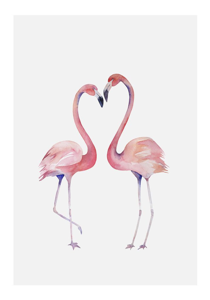 Poster - Flamingo Couple 2 70x100 - Dear Sam