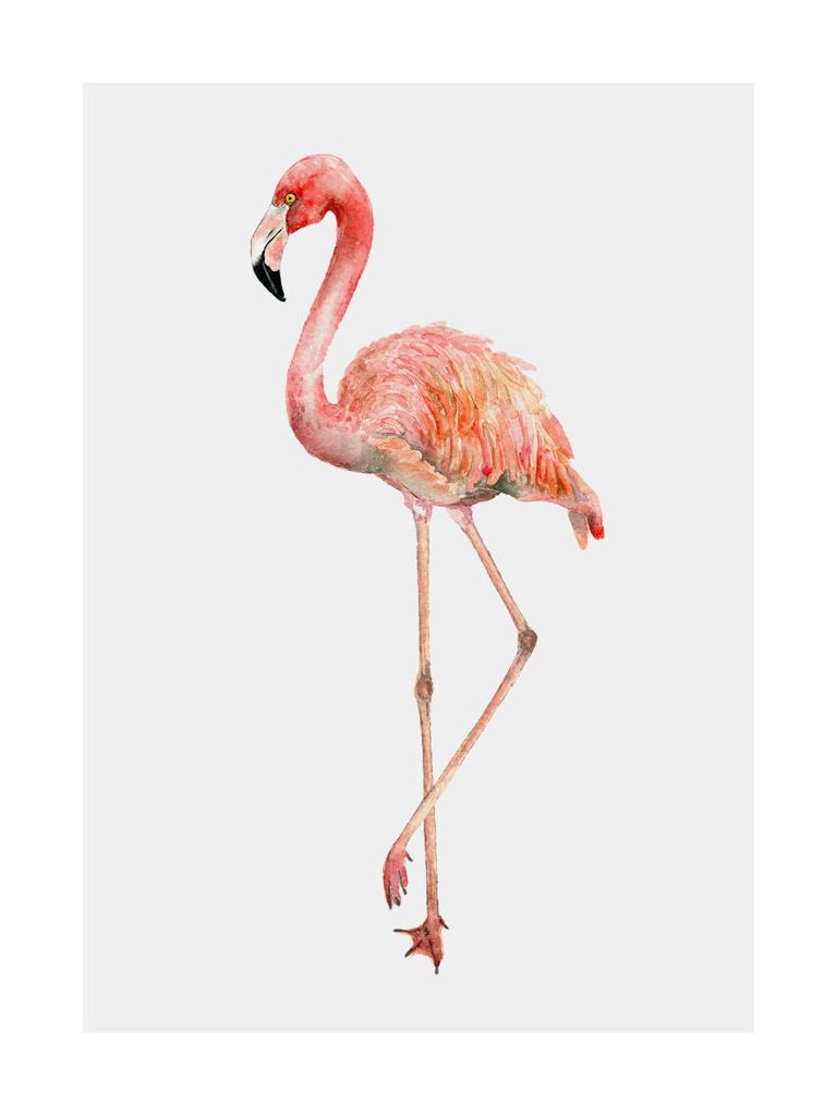 Poster - Flamingo In Watercolor 30x40 - Dear Sam