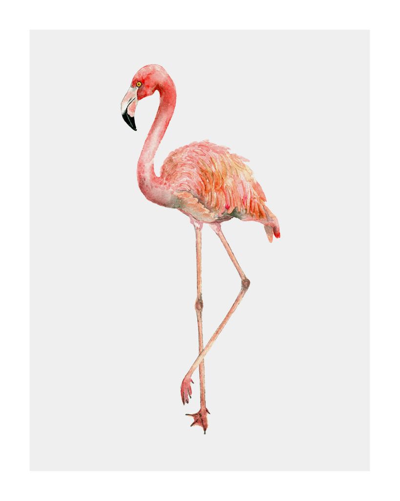 Poster - Flamingo In Watercolor 40x50 - Dear Sam