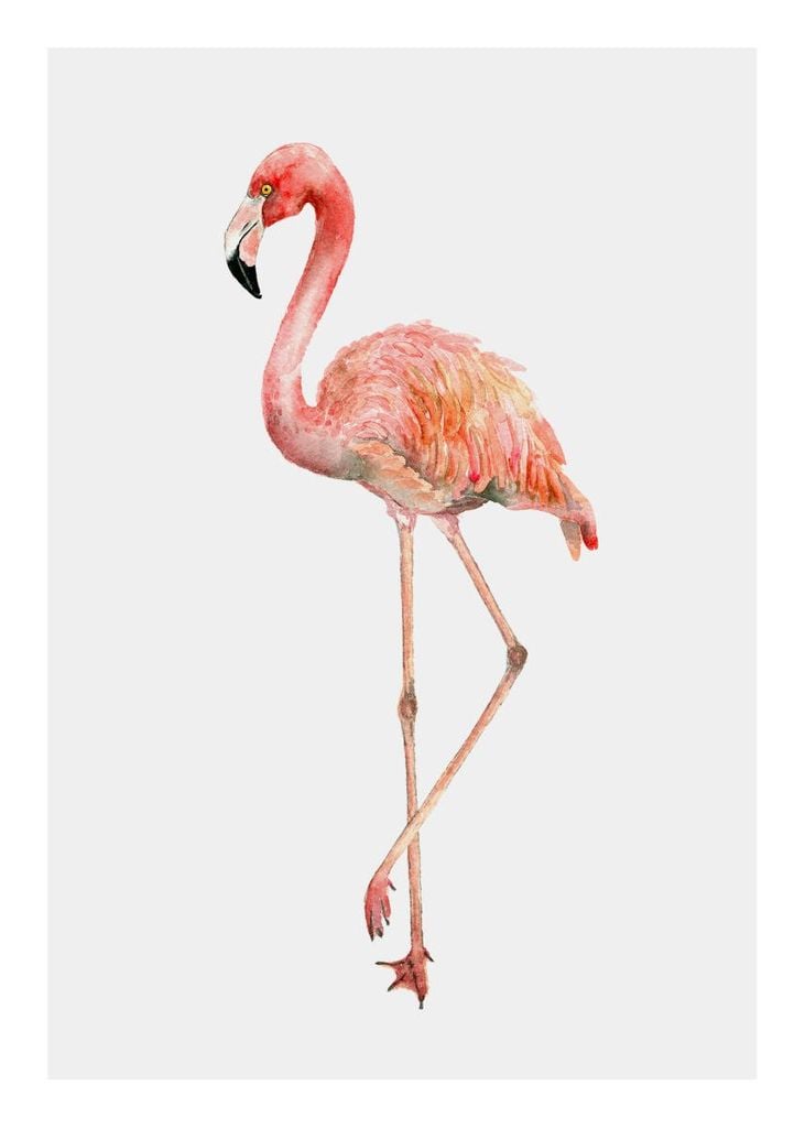 Poster - Flamingo In Watercolor 50x70 - Dear Sam