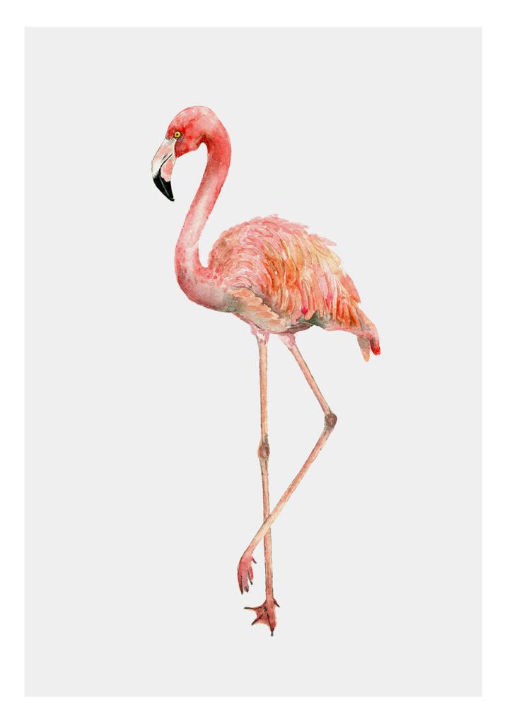 Poster - Flamingo In Watercolor 70x100 - Dear Sam