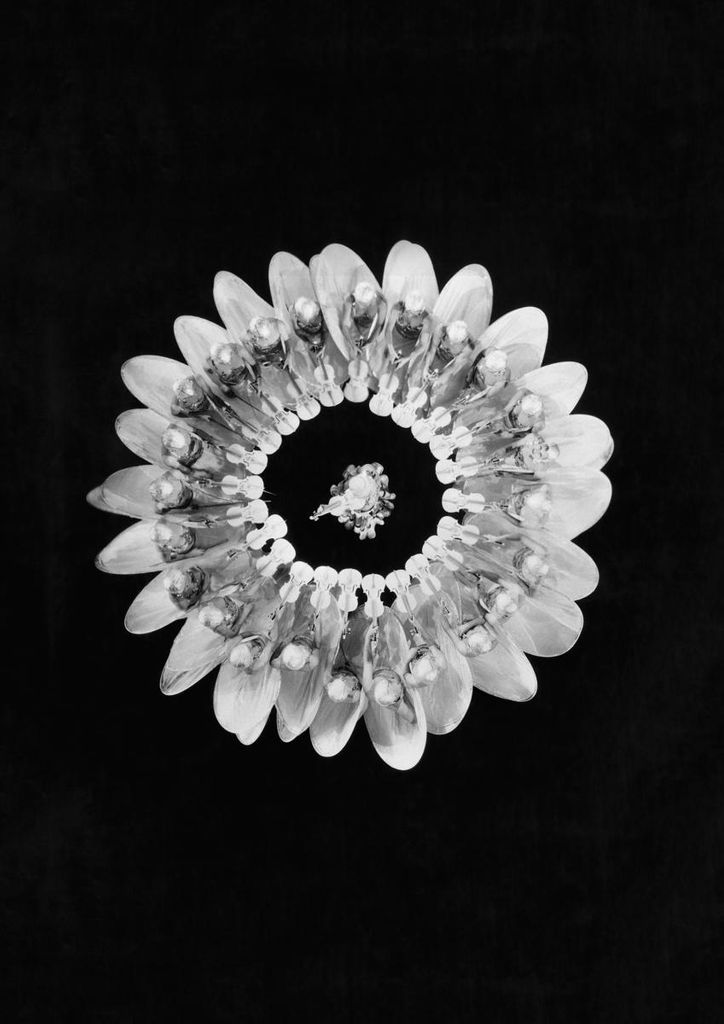 Poster - Flower Formation 21x30 - Dear Sam