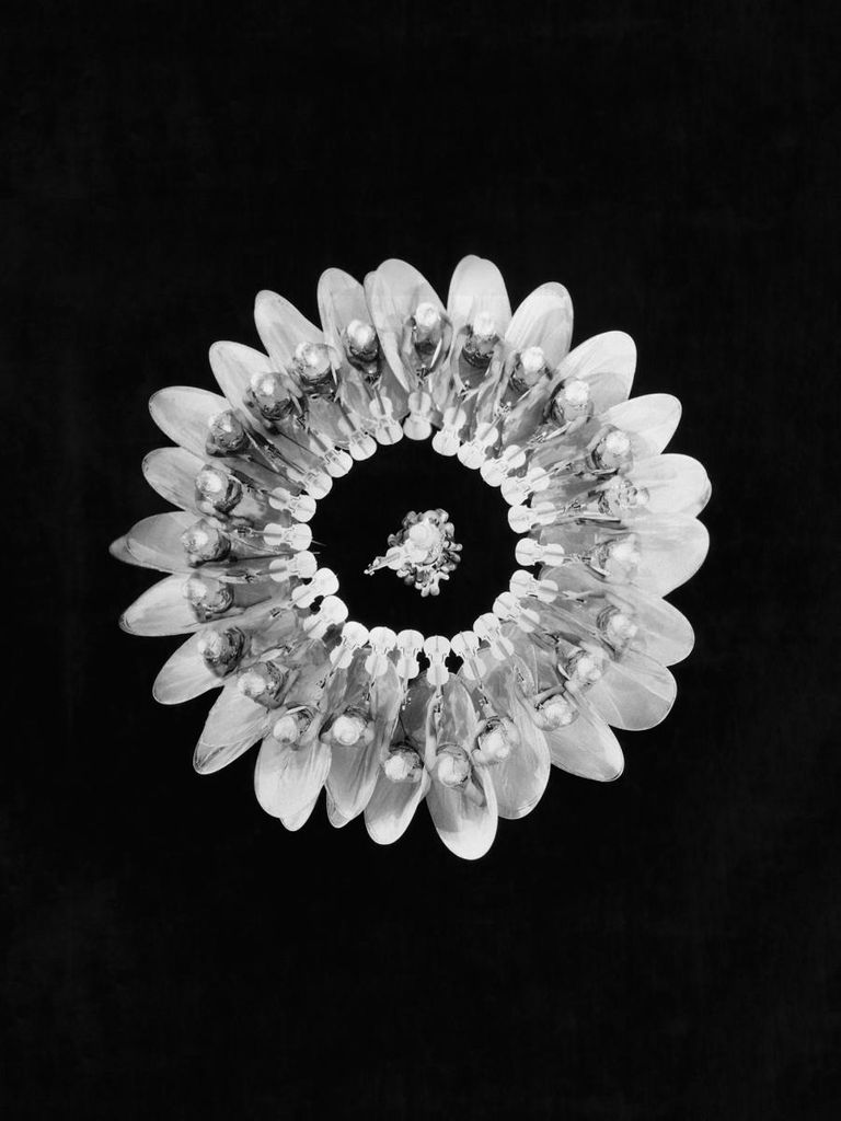 Poster - Flower Formation 30x40 - Dear Sam