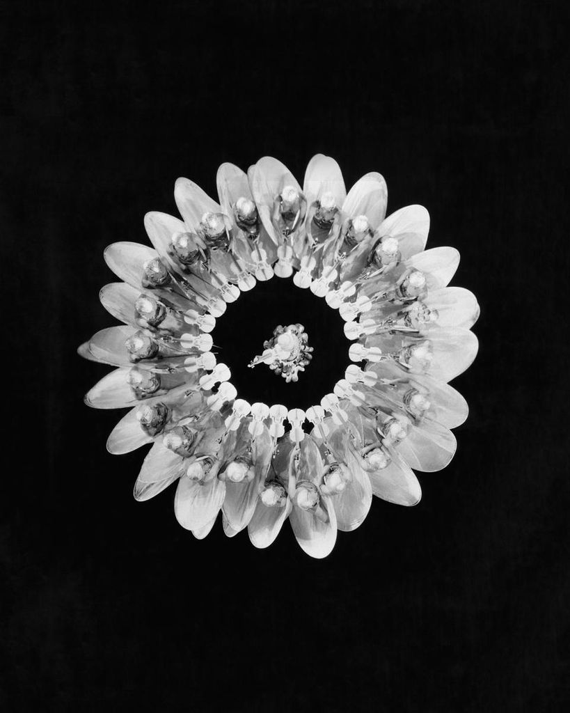 Poster - Flower Formation 40x50 - Dear Sam
