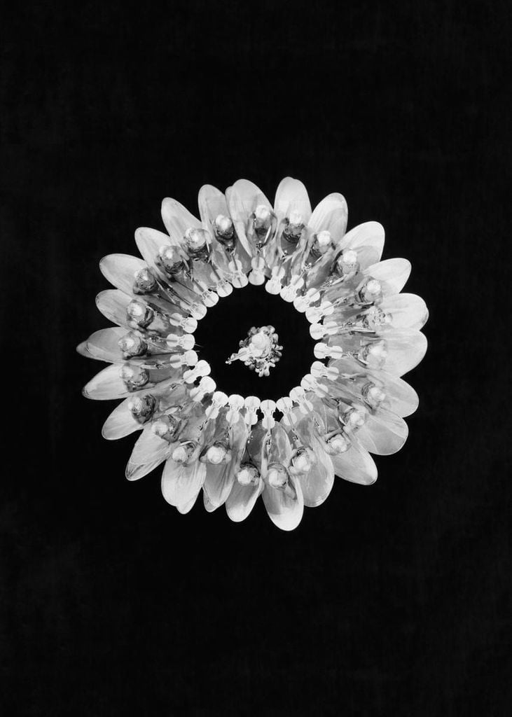 Poster - Flower Formation 50x70 - Dear Sam