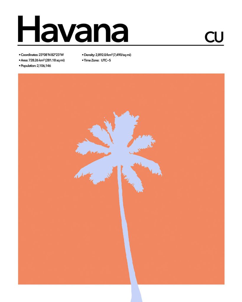Poster - Havana Abstract 40x50 - Dear Sam