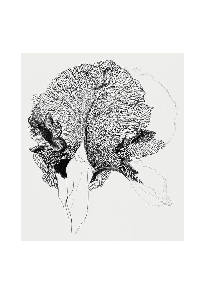 Poster - Iris 70x100 - Dear Sam