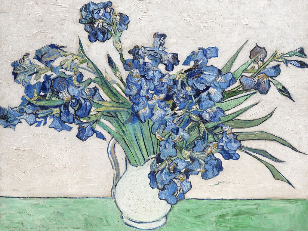 Poster - Irises 2 By Van Gogh 40x30 - Dear Sam