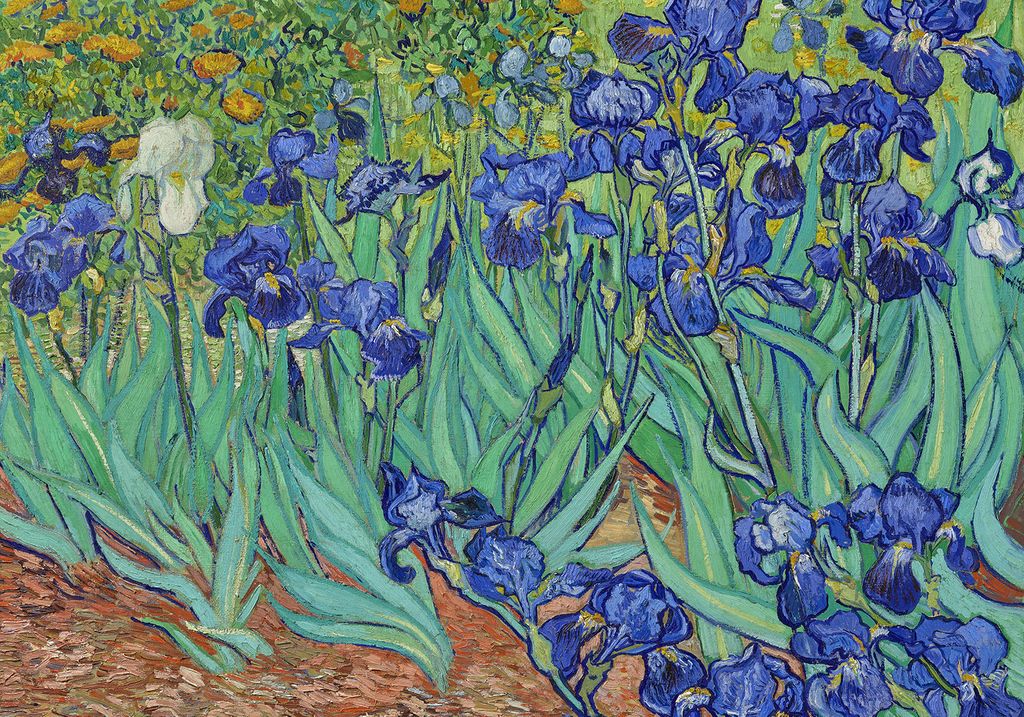 Poster - Irises By Van Gogh 100x70 - Dear Sam