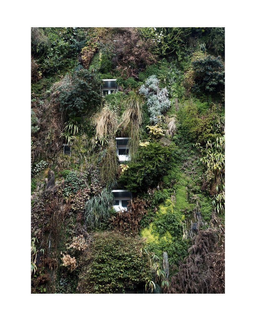 Poster - Jungle House 40x50 - Dear Sam