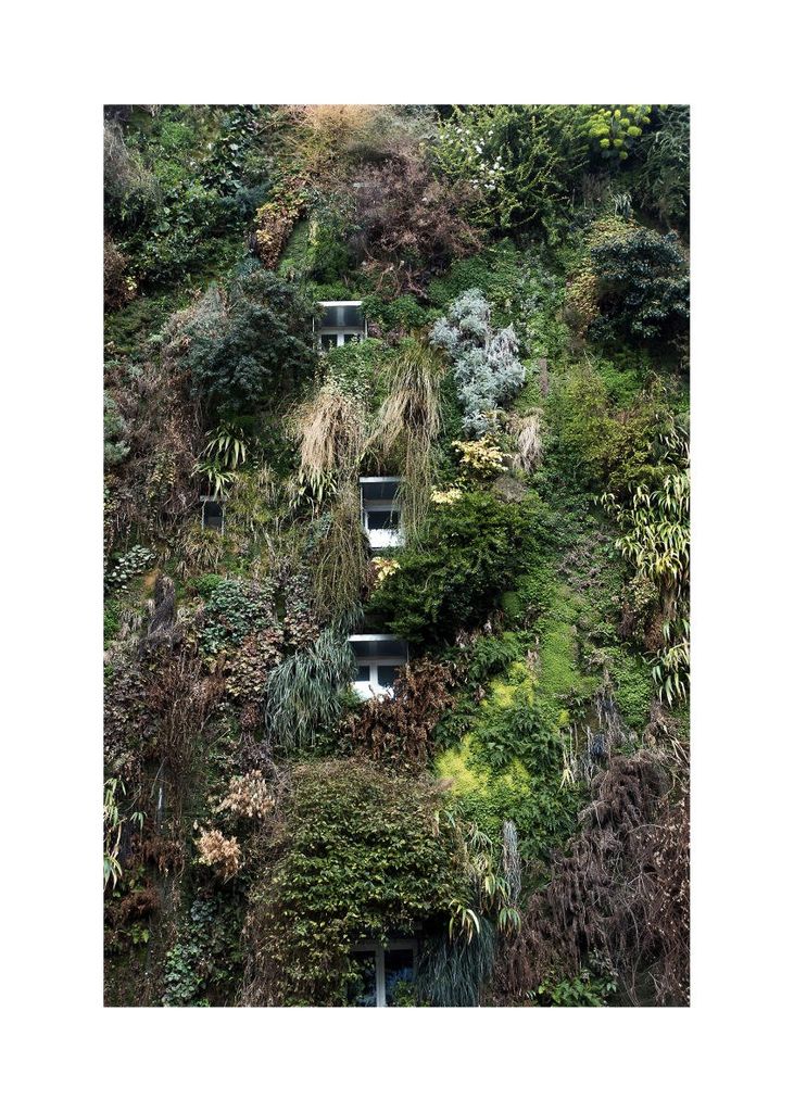Poster - Jungle House 50x70 - Dear Sam