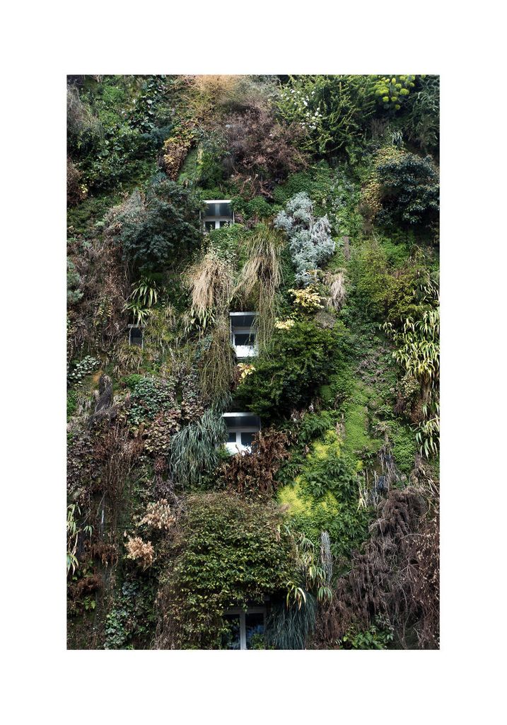 Poster - Jungle House 70x100 - Dear Sam