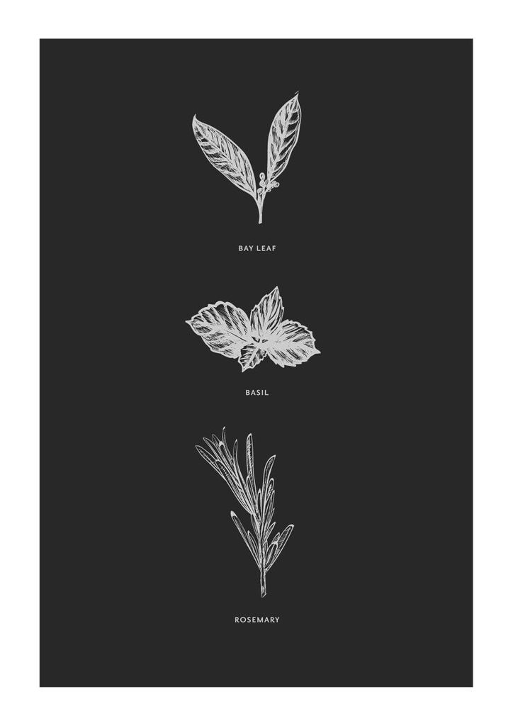 Poster - Kitchen Spices 21x30 - Dear Sam