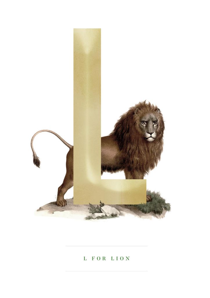 Poster - L For Lion 21x30 - Dear Sam