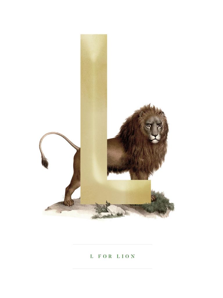 Poster - L For Lion 30x40 - Dear Sam