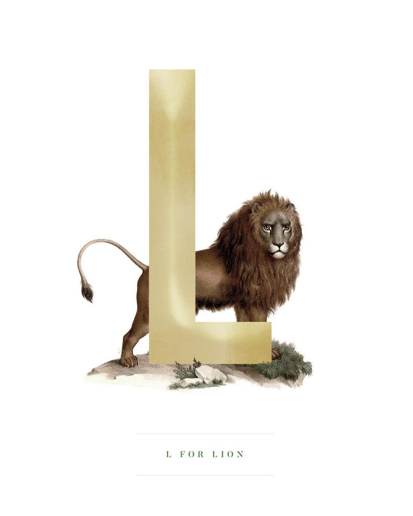 Poster - L For Lion 40x50 - Dear Sam