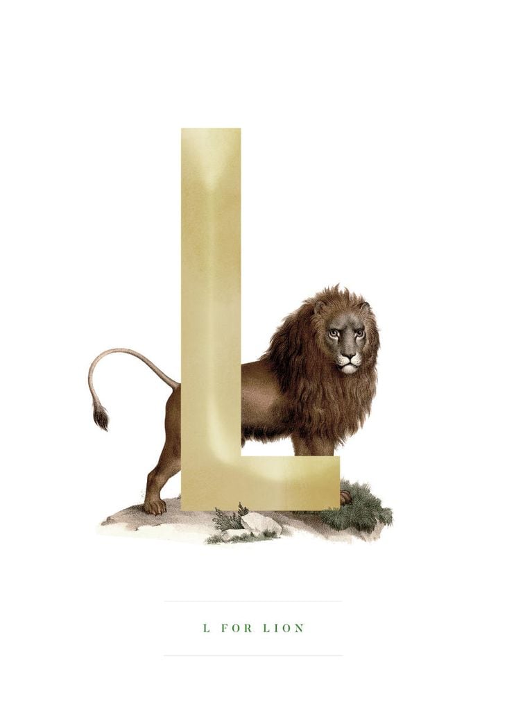 Poster - L For Lion 50x70 - Dear Sam