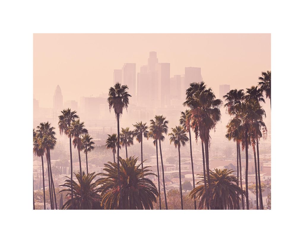 Poster - LA Skyline 50x40 - Dear Sam
