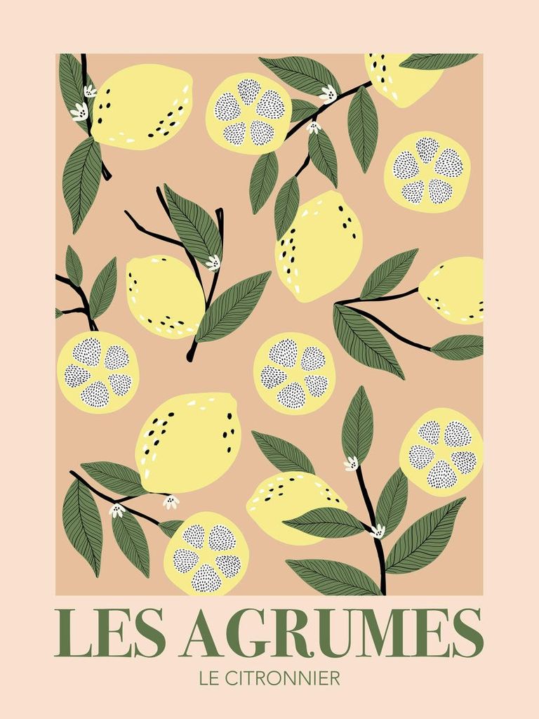 Poster - Le Citronnier 30x40 - Dear Sam