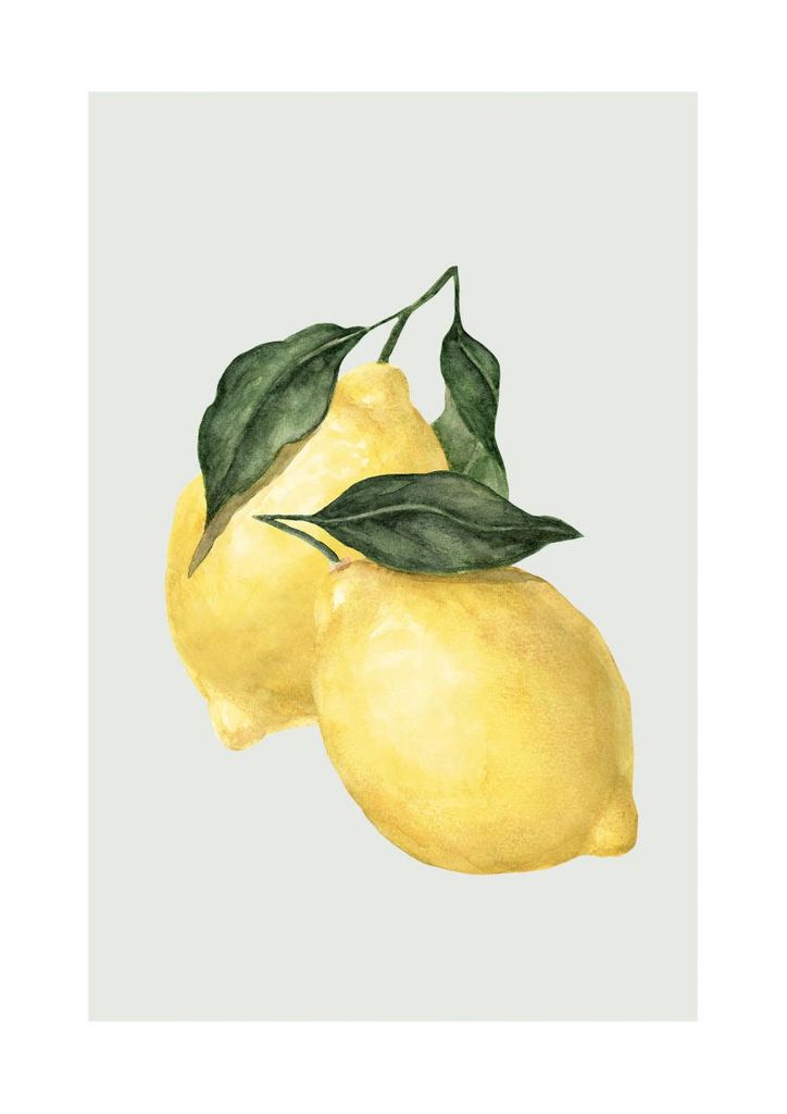 Poster - Lemon 21x30 - Dear Sam