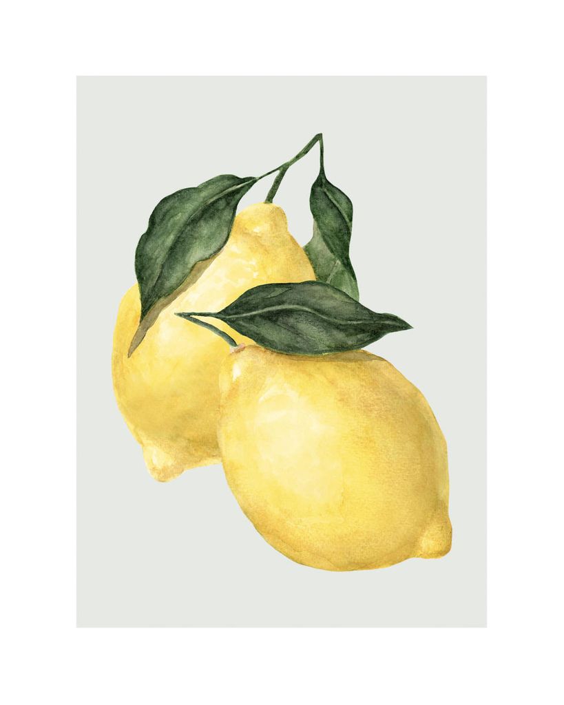 Poster - Lemon 40x50 - Dear Sam