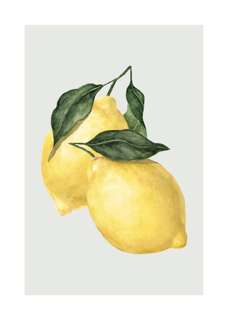 Poster - Lemon 50x70 - Dear Sam