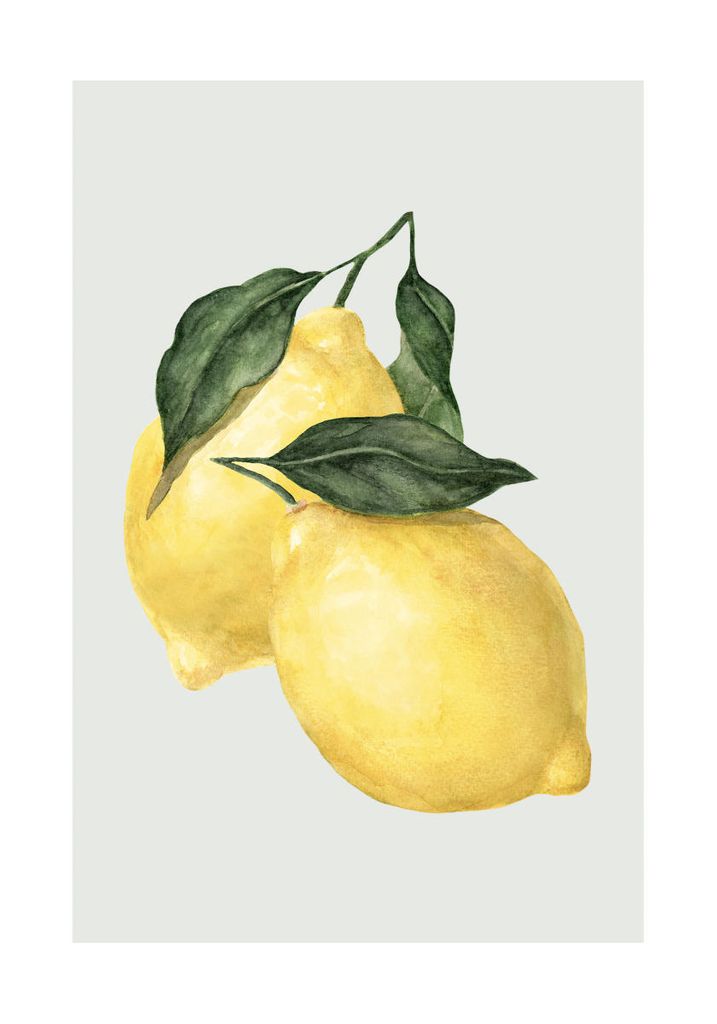 Poster - Lemon 70x100 - Dear Sam