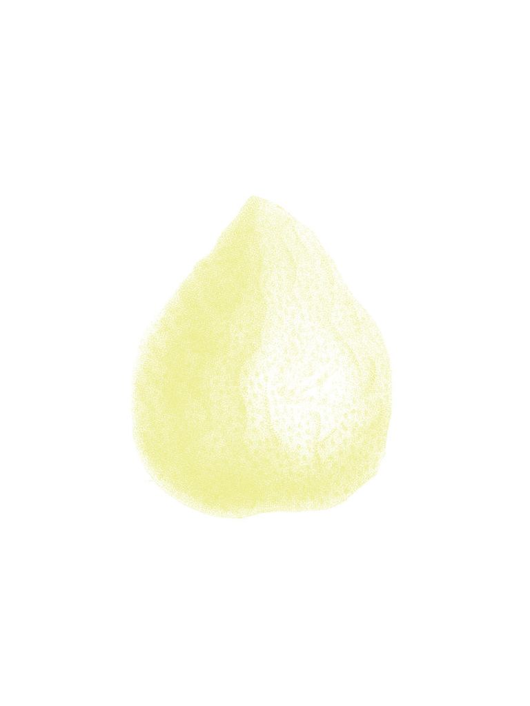 Plakat - Lemon Dirty 30x40 - Dear Sam